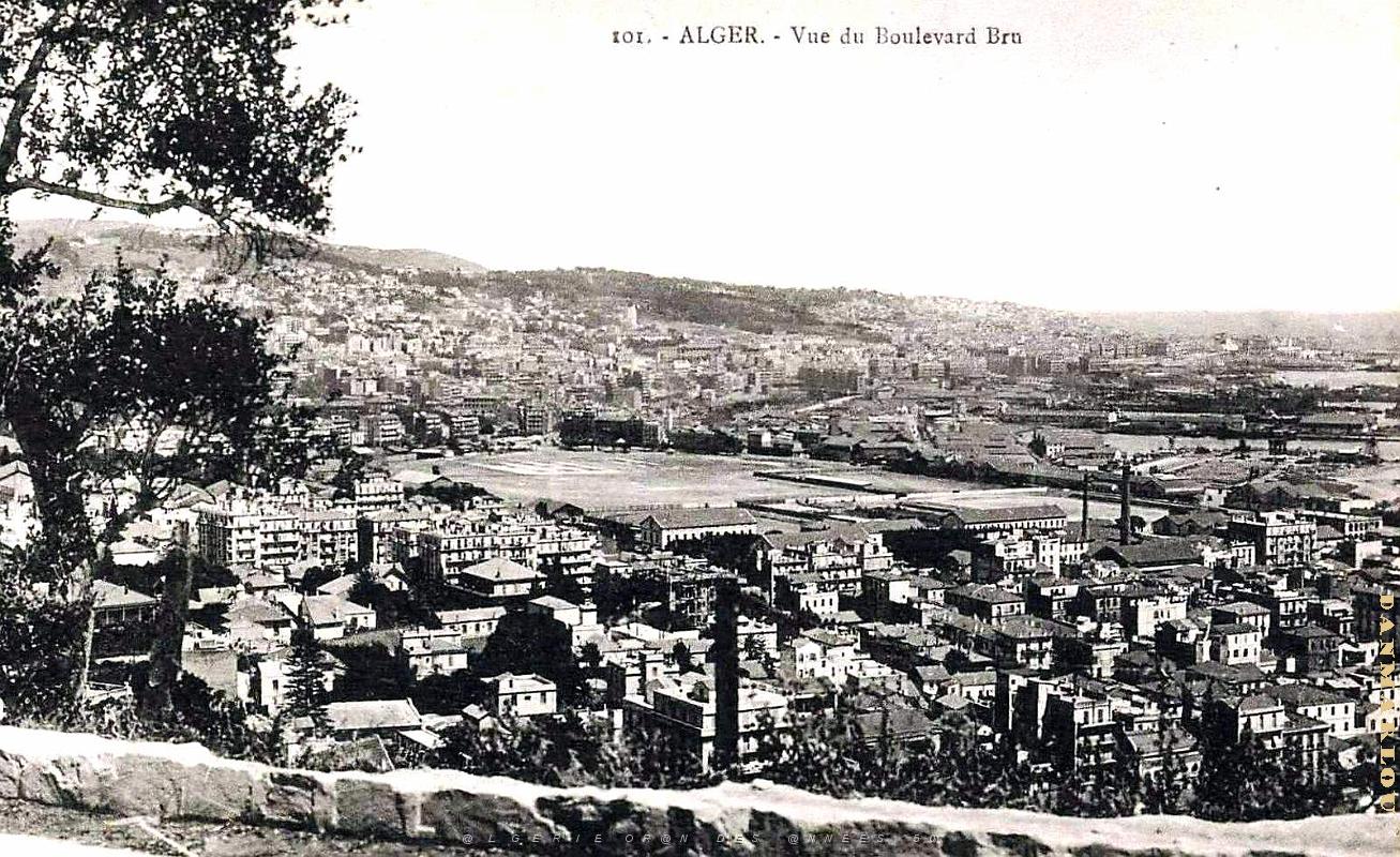 Alger - Vue prise du Boulevard Bru.jpg